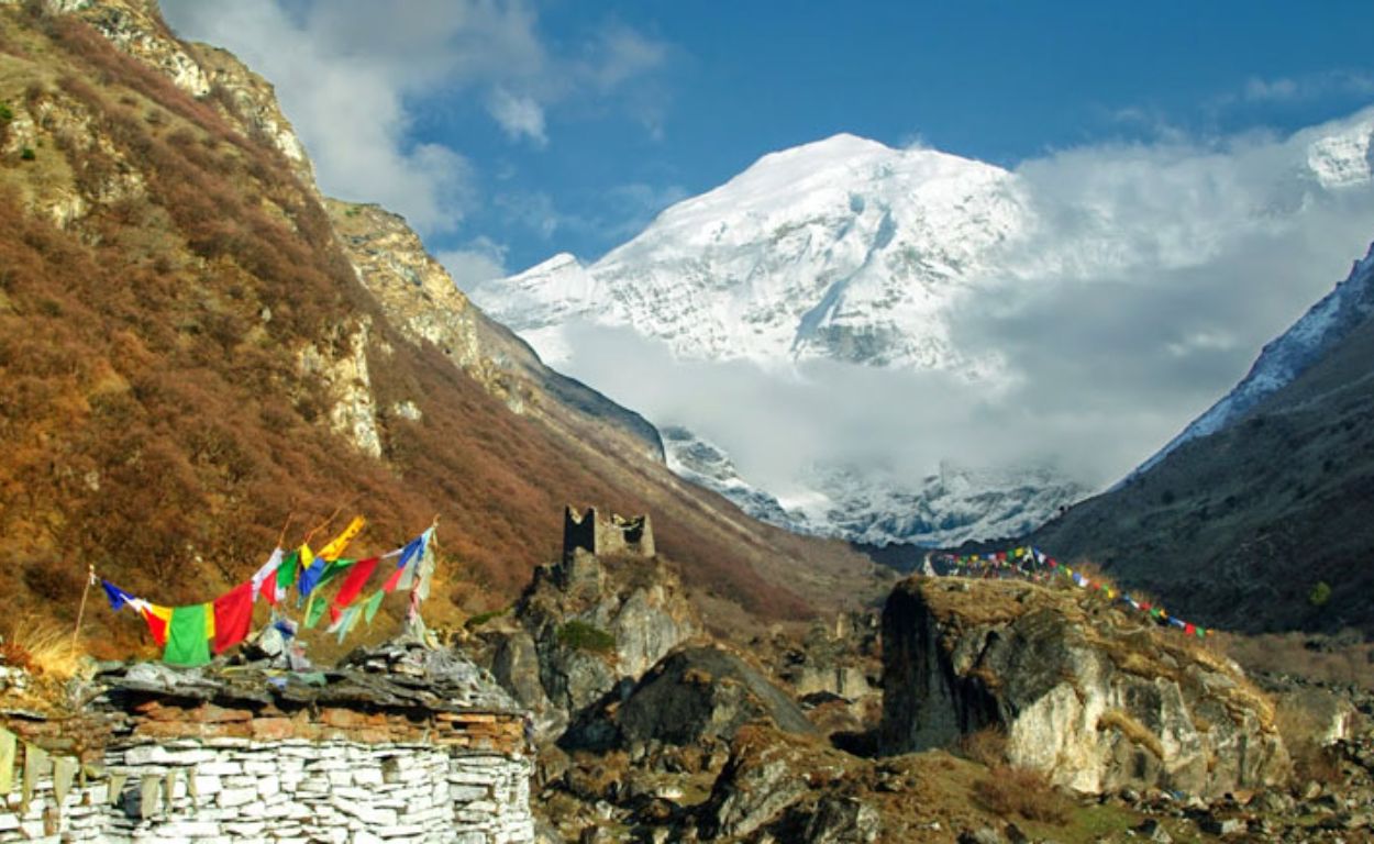 Read more about the article Laya Trek